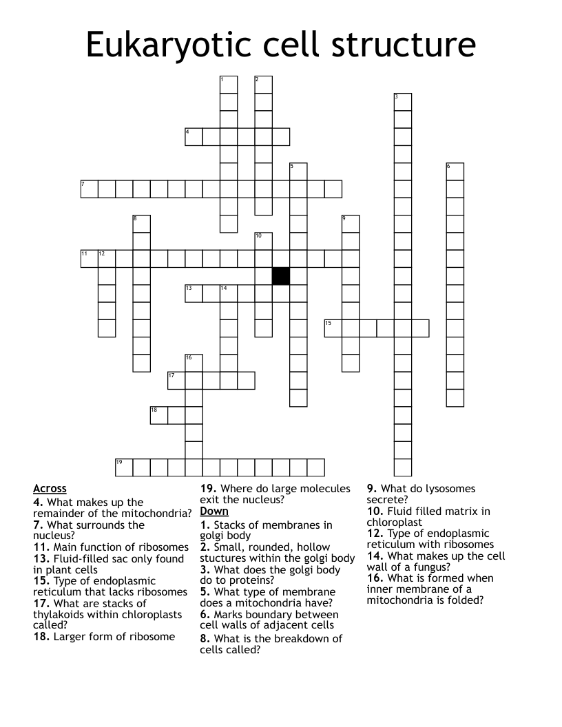 Eukaryotic cell structure  Crossword
