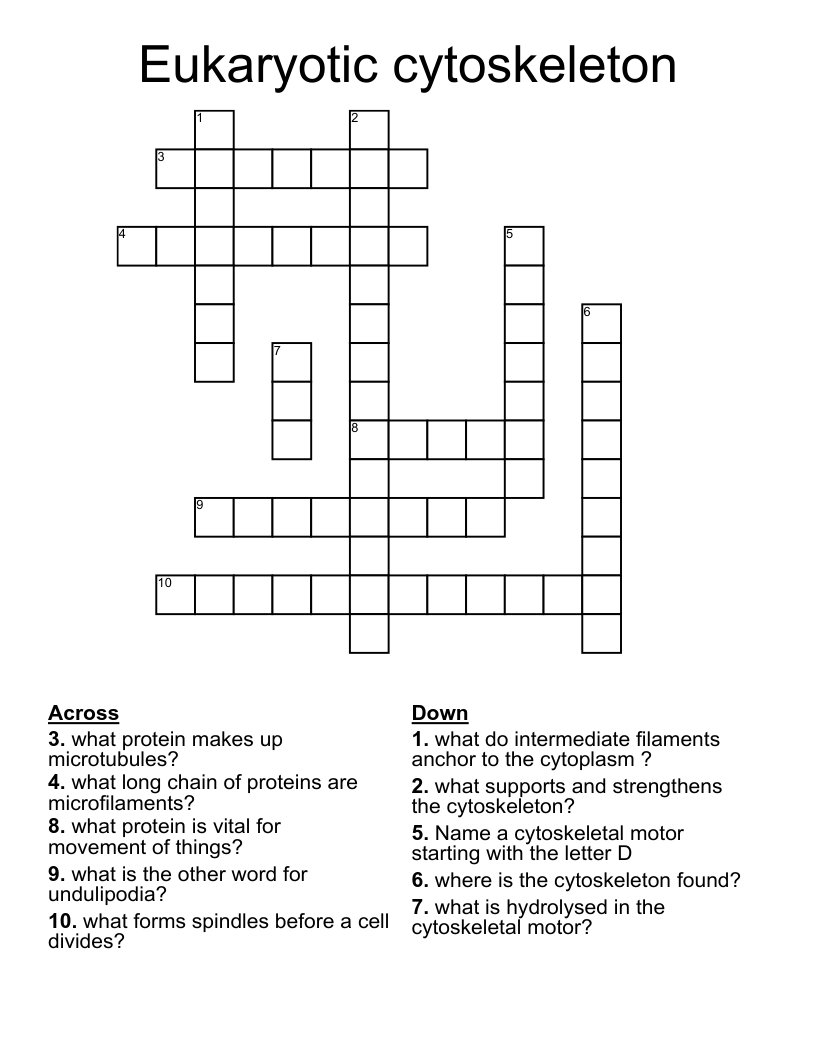 Eukaryotic cytoskeleton  Crossword