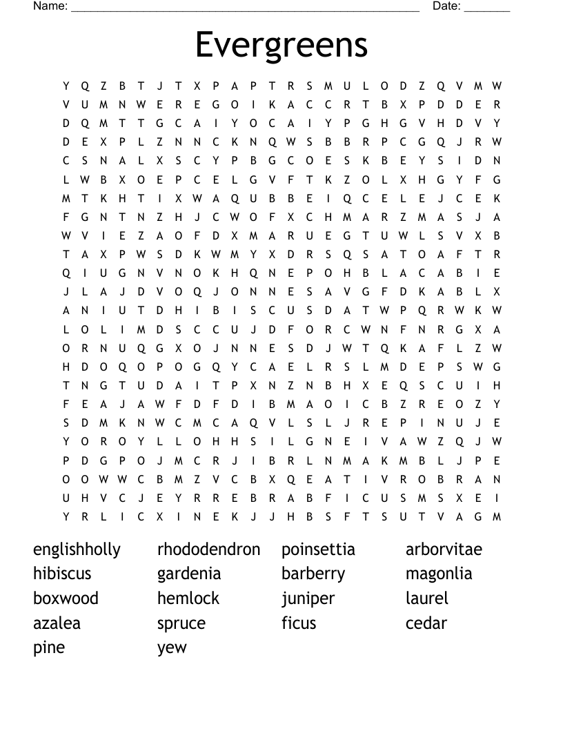 Evergreens Word Search