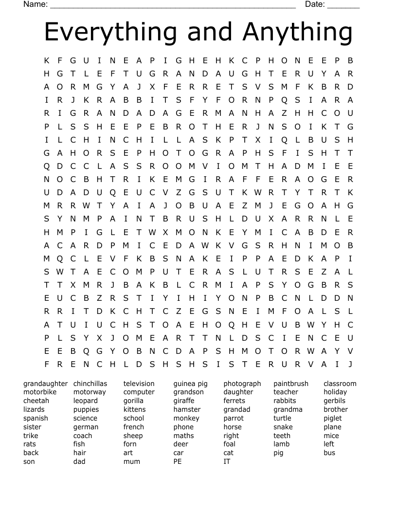 Everything and Anything Word Search