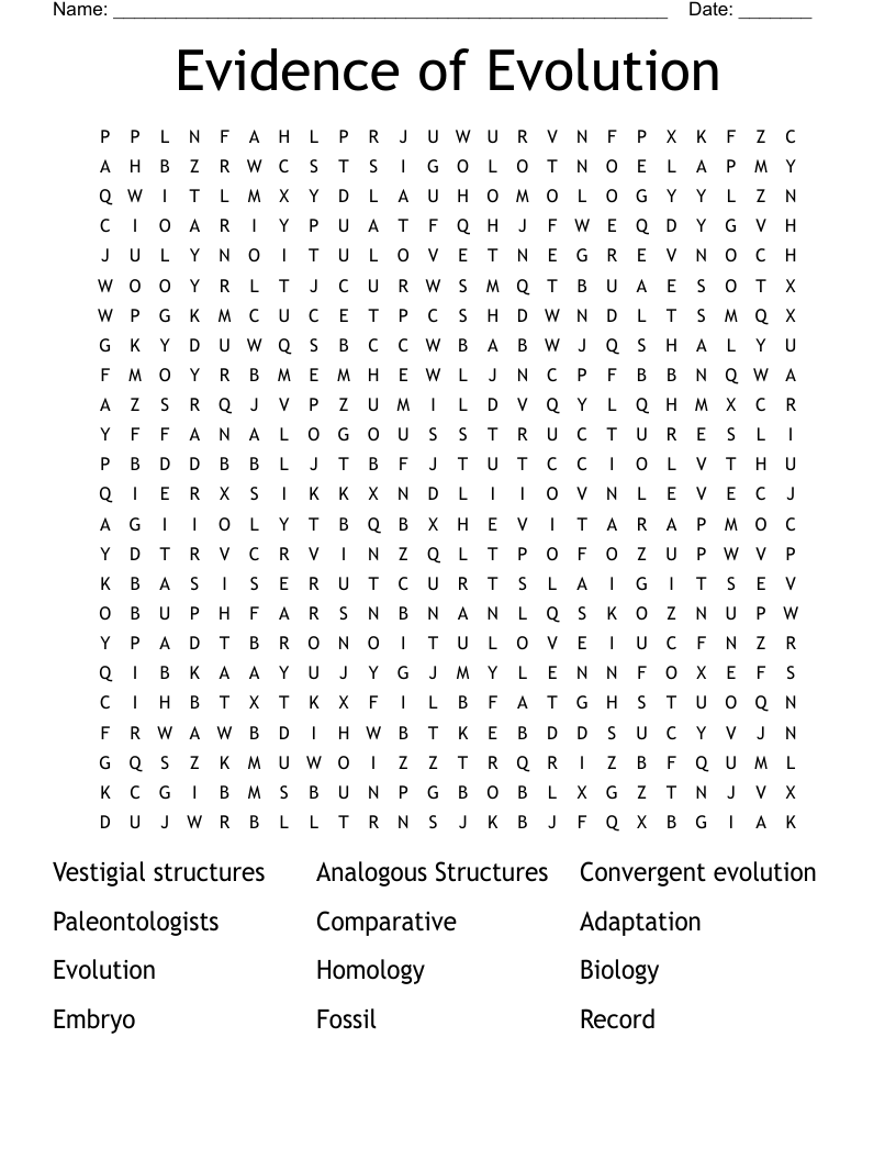 Evidence of Evolution Word Search