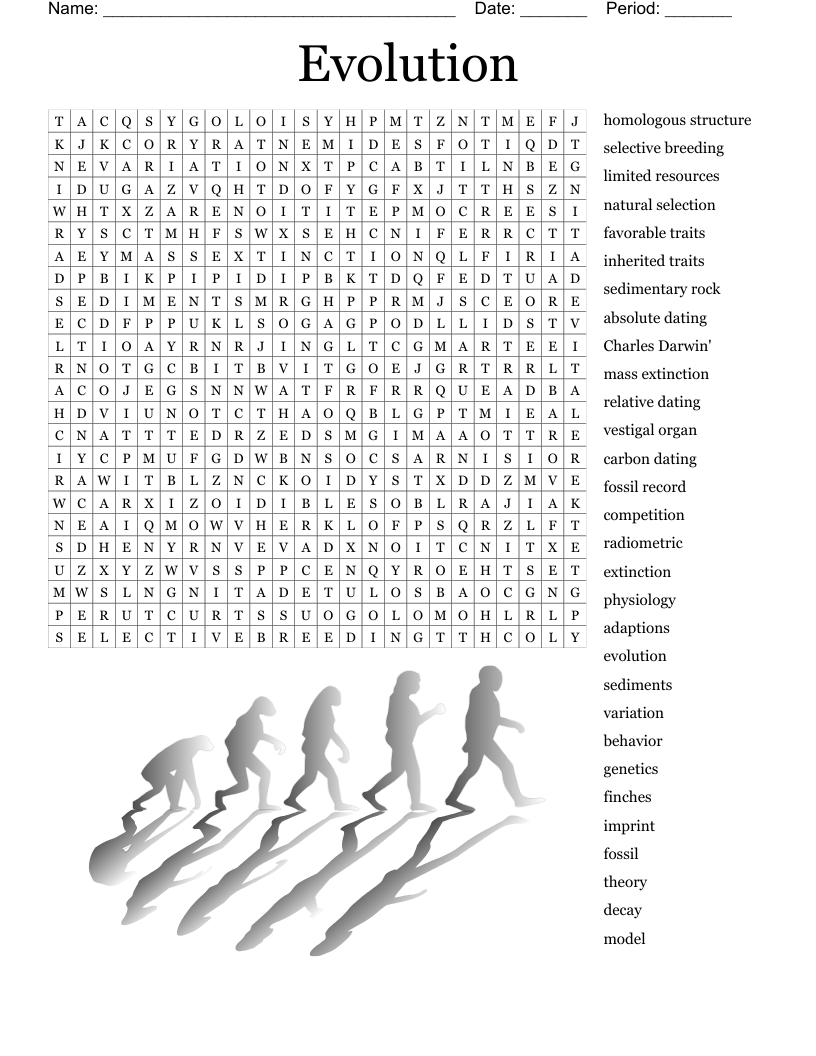 Evolution Word Search