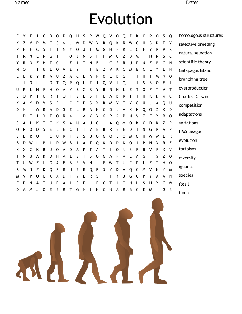 Evolution Word Search