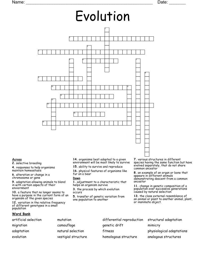 Evolution Crossword