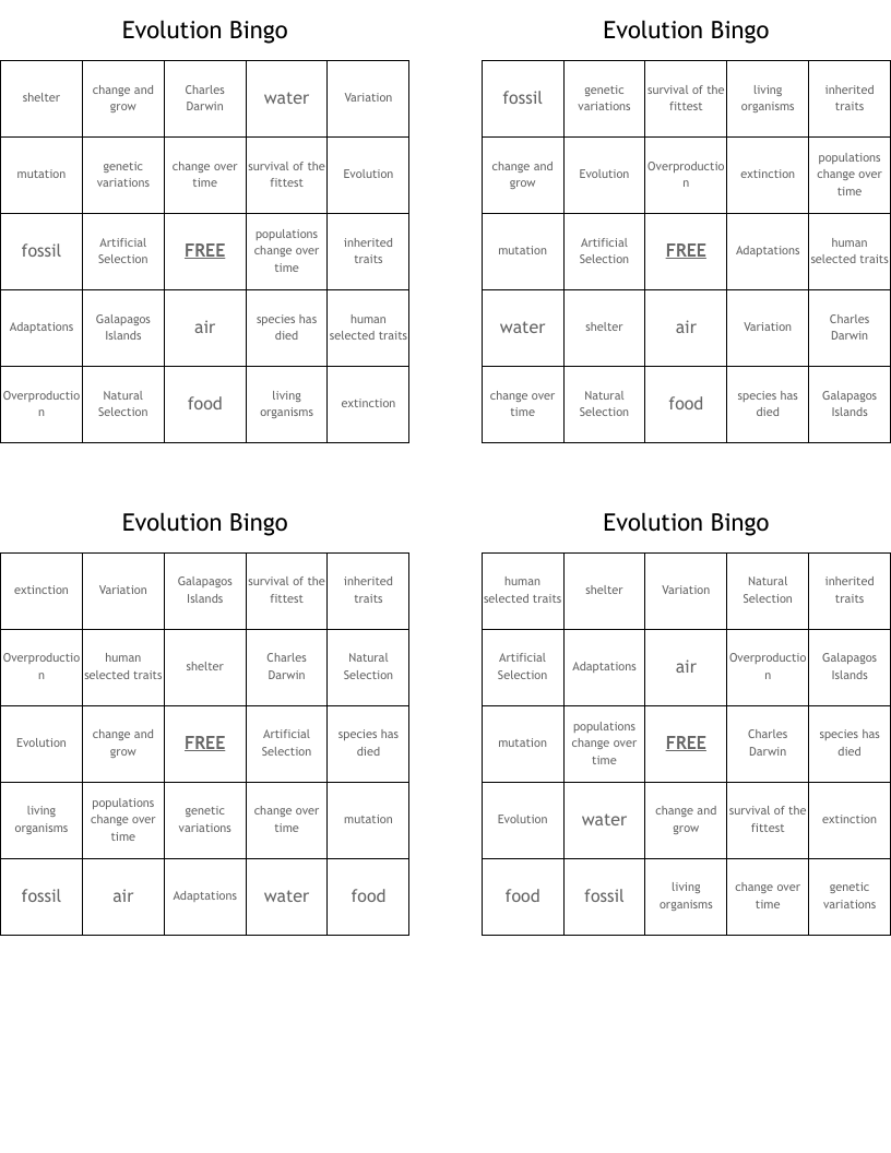 Evolution Bingo