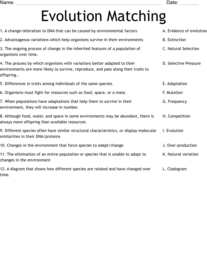Evolution Matching Worksheet