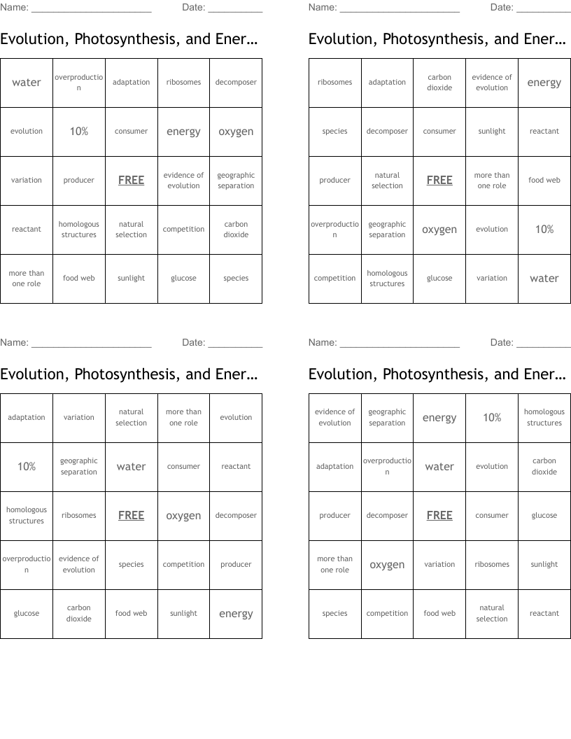 Evolution, Photosynthesis, and Energy Flow  Bingo Cards