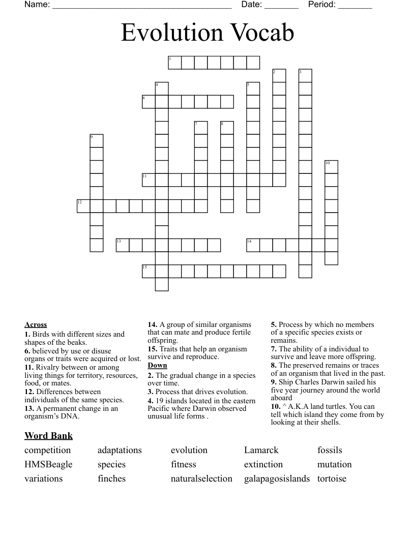 Evolution Vocab Crossword