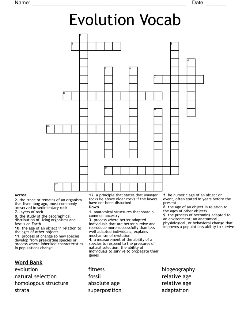 Evolution Vocab Crossword