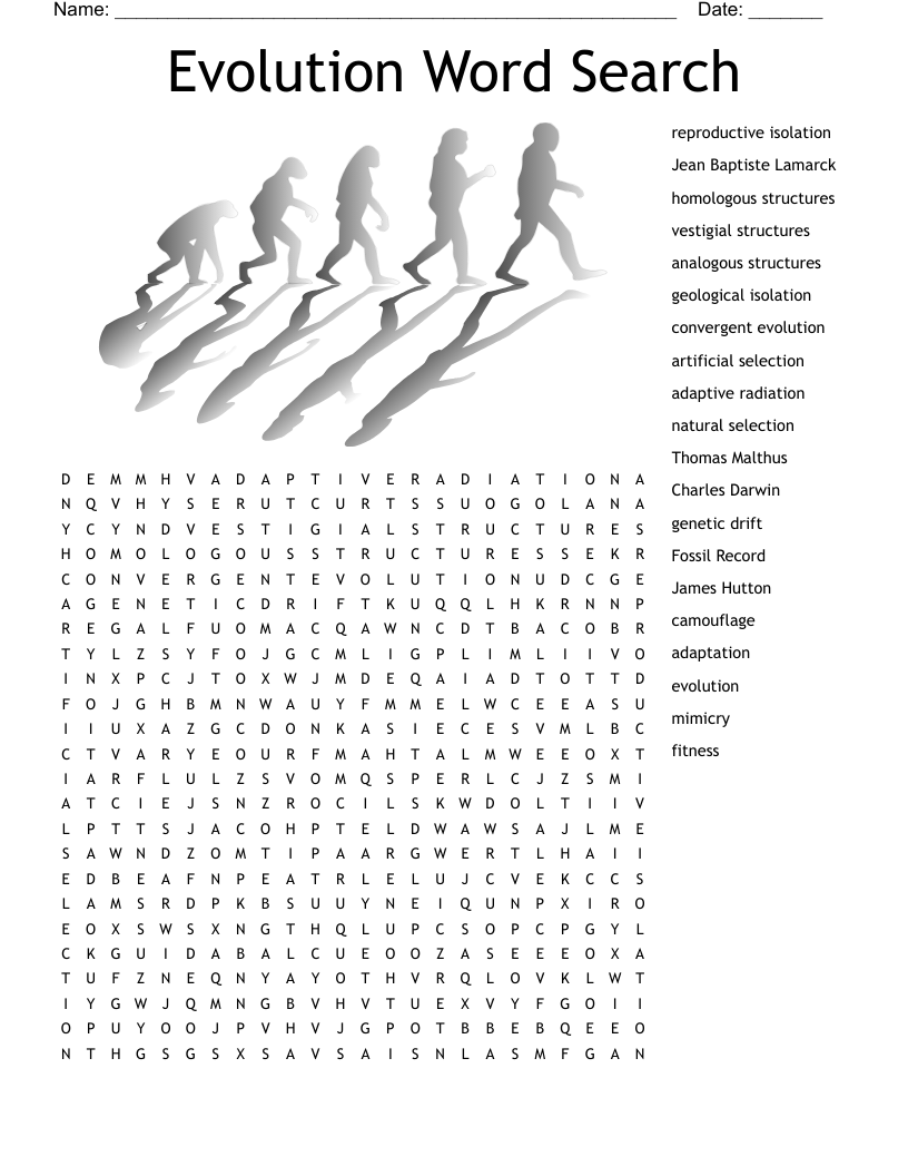 Evolution Word Search