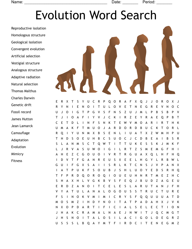 Evolution Word Search
