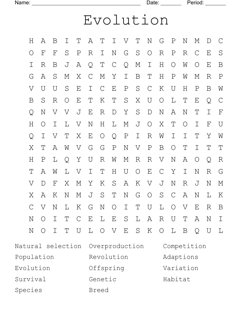 Evolution  Word Search
