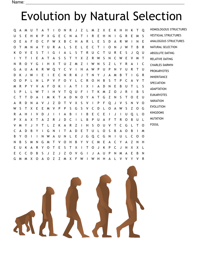 Evolution by Natural Selection Word Search