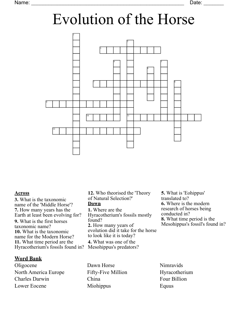 Evolution of the Horse Crossword