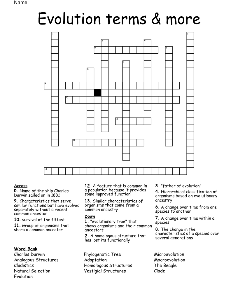 Evolution terms & more Crossword