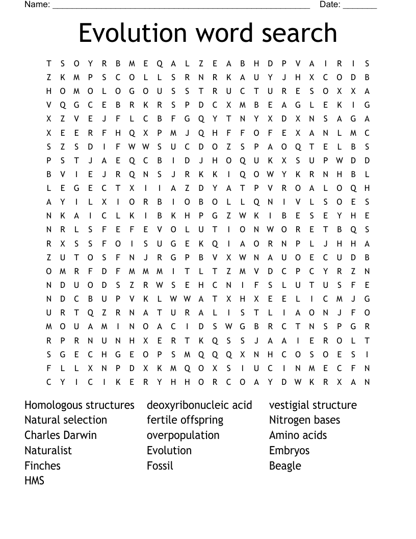 Evolution word search