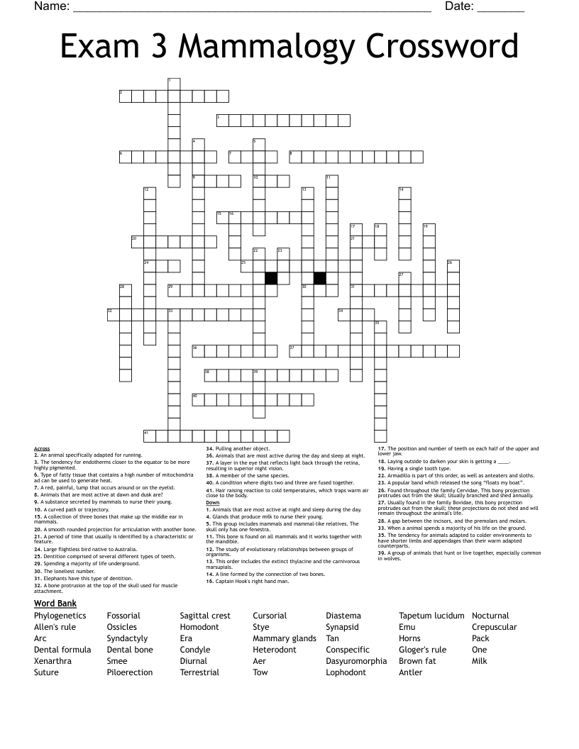 Exam 3 Mammalogy Crossword