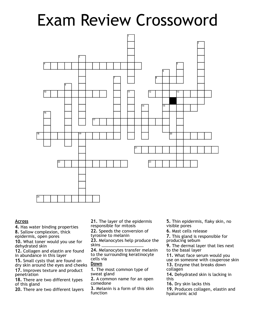 Exam Review Crossoword Crossword