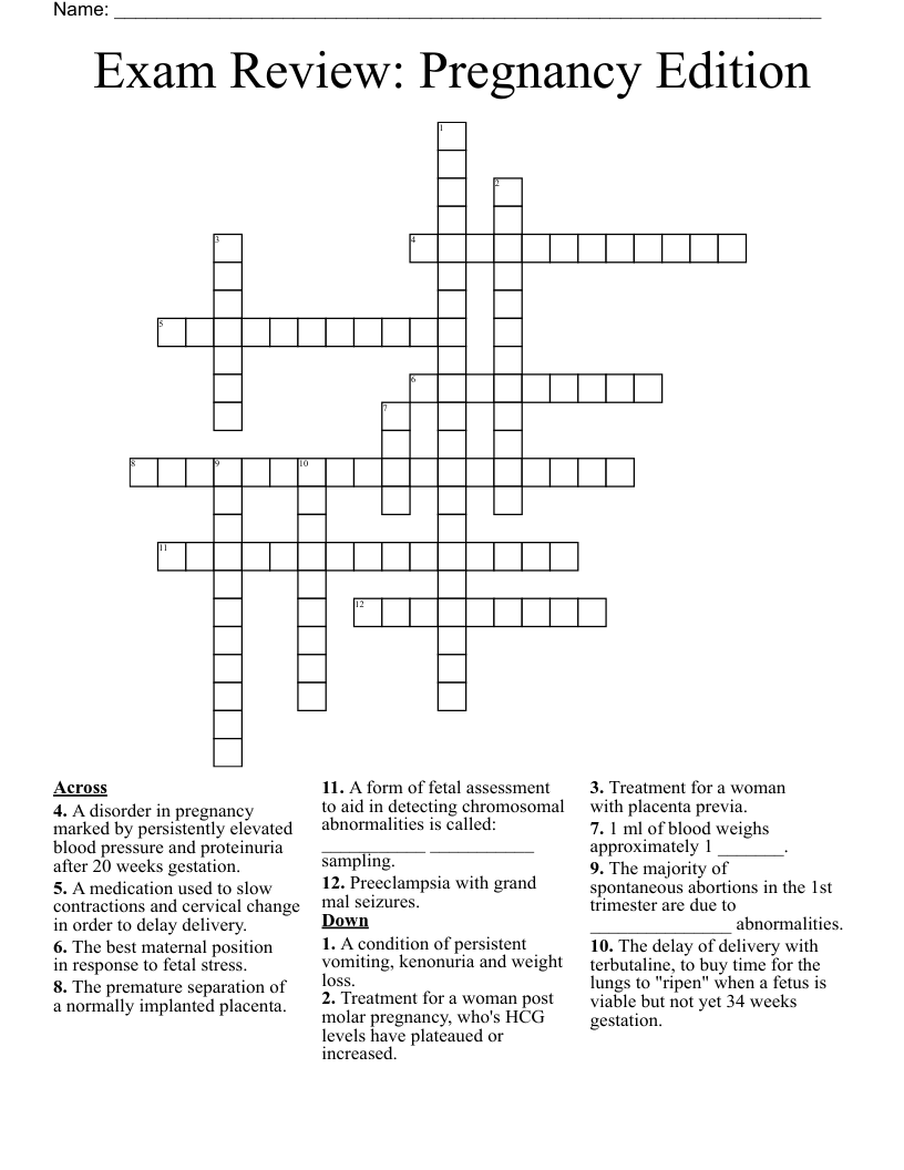 Exam Review: Pregnancy Edition Crossword