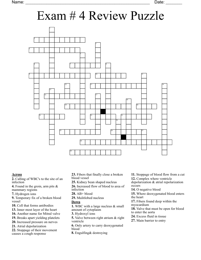 Exam # 4 Review Puzzle Crossword