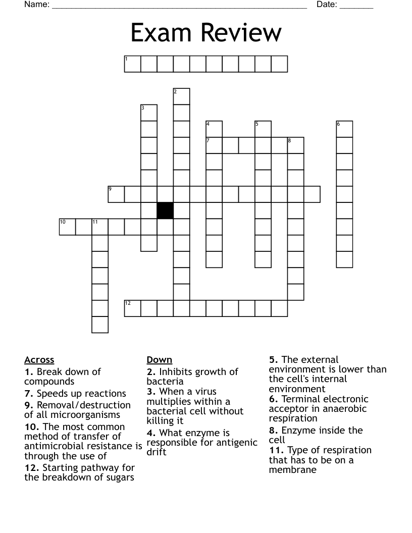 Exam  Review Crossword
