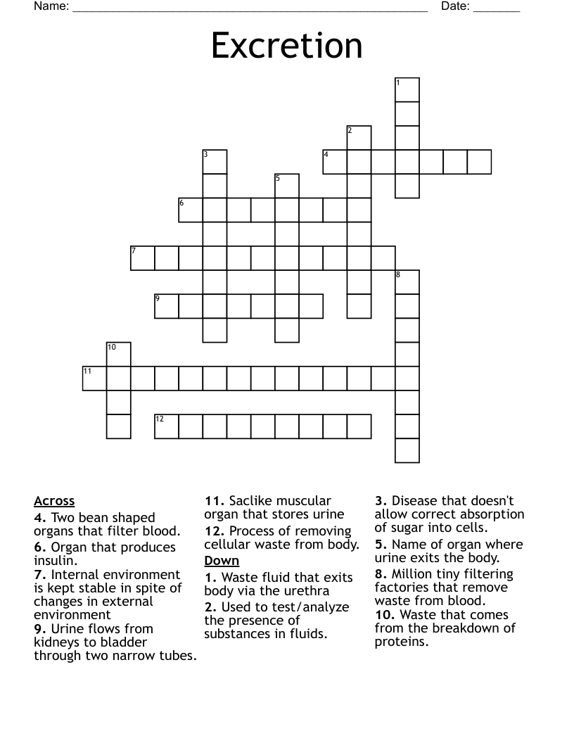 Excretion Crossword