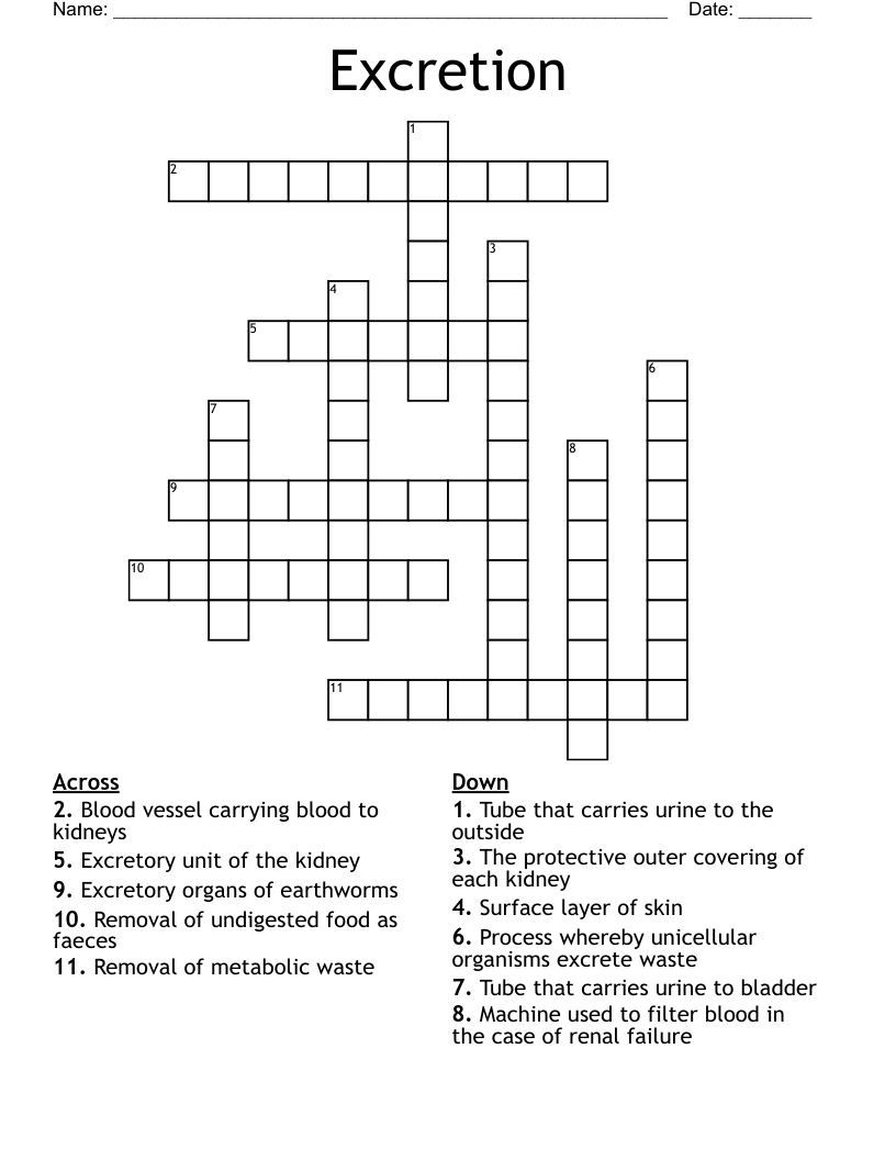 Excretion Crossword