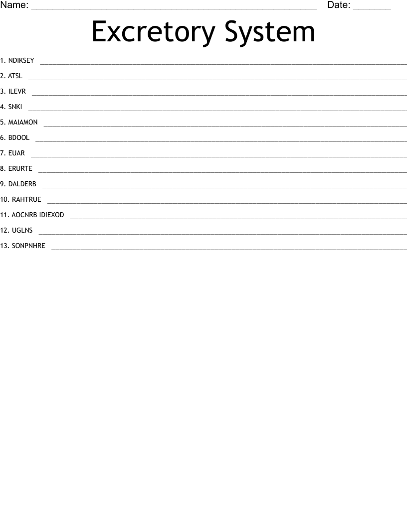 Excretory System Word Scramble