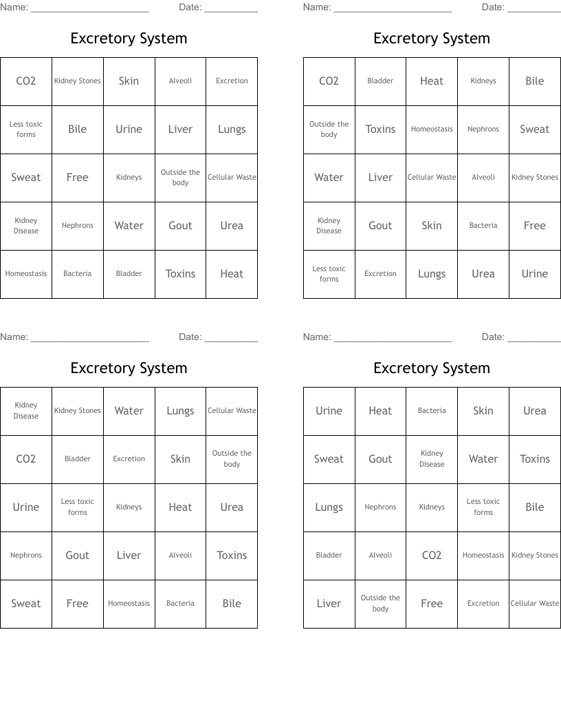 Excretory System Bingo Cards