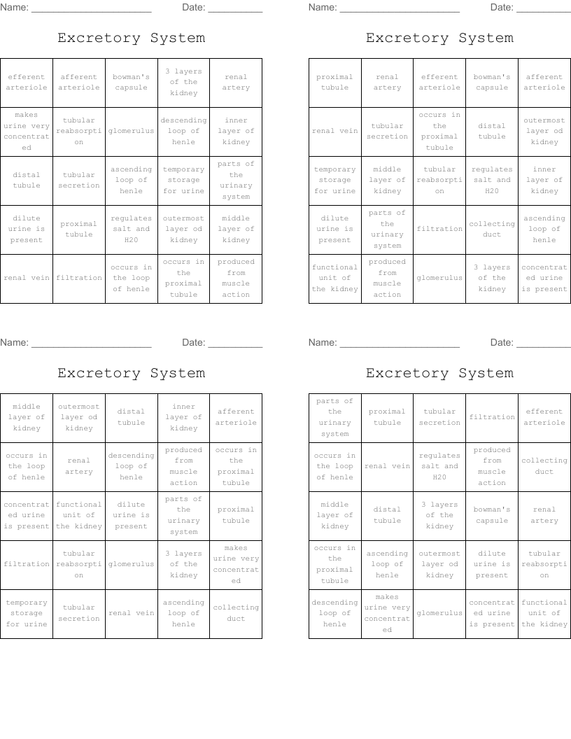 Excretory System Bingo Cards