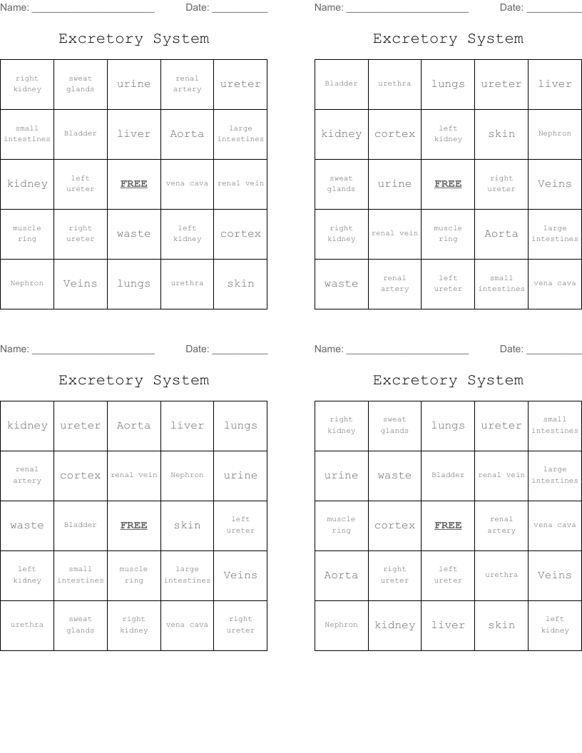 Excretory System Bingo Cards
