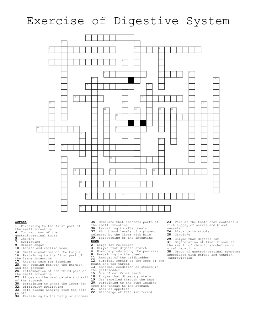 Exercise of Digestive System Crossword