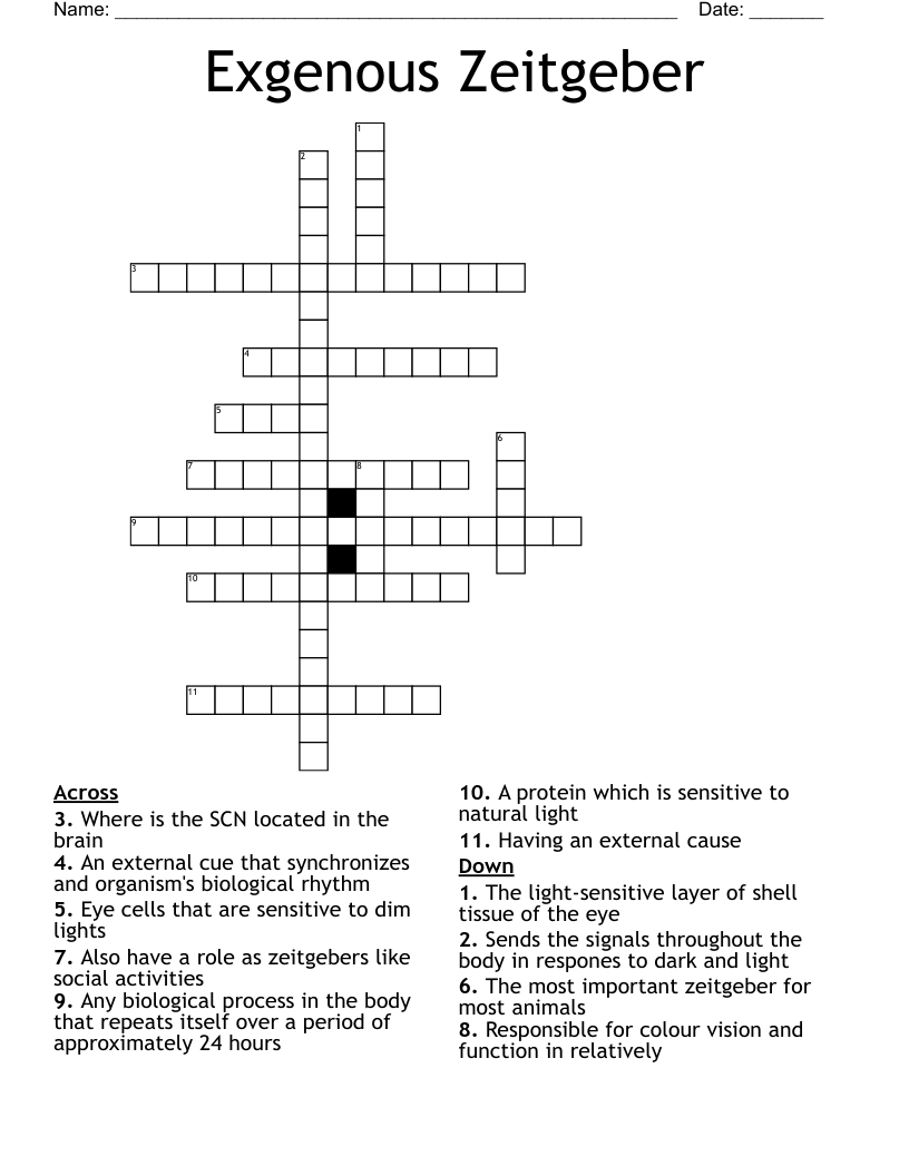 Exgenous Zeitgeber Crossword