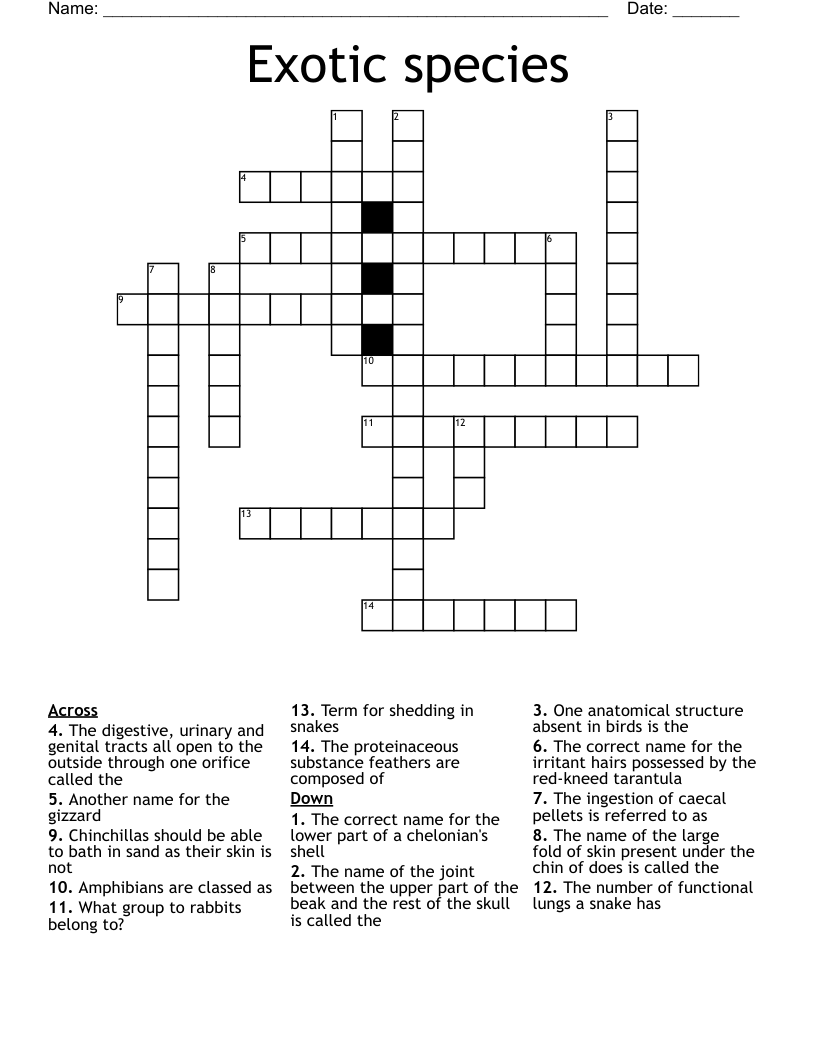 Exotic species Crossword