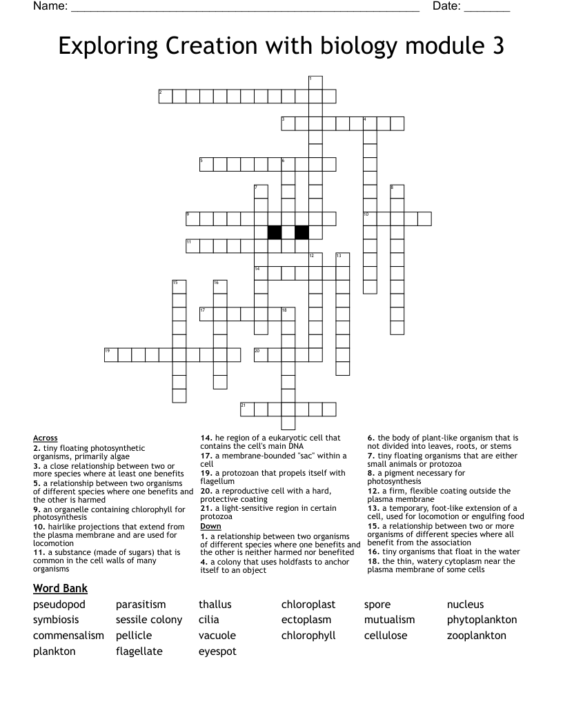 Exploring Creation with biology module 3 Crossword