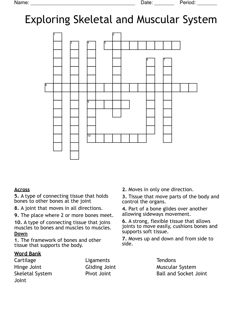 Exploring Skeletal and Muscular System Crossword