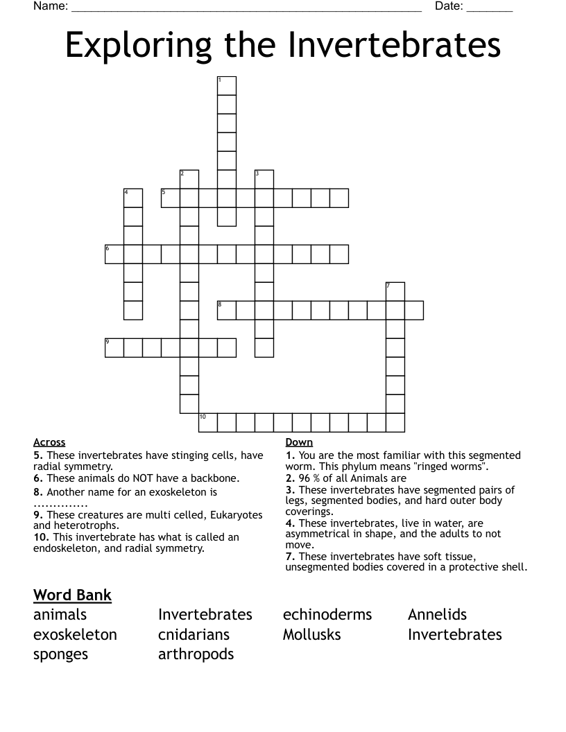 Exploring the Invertebrates  Crossword