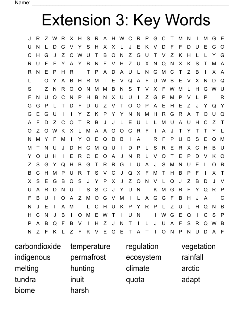 Extension 3: Key Words Word Search