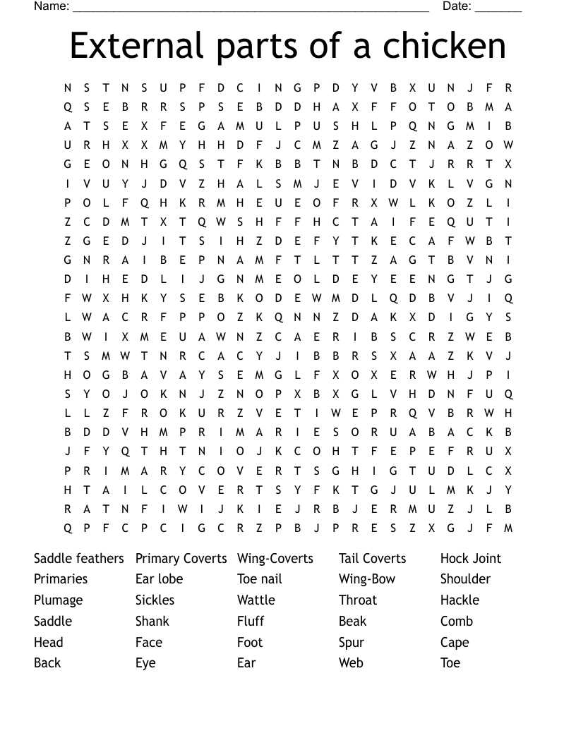 External parts of a chicken Word Search