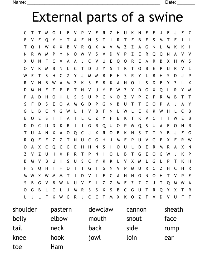 External parts of a swine Word Search