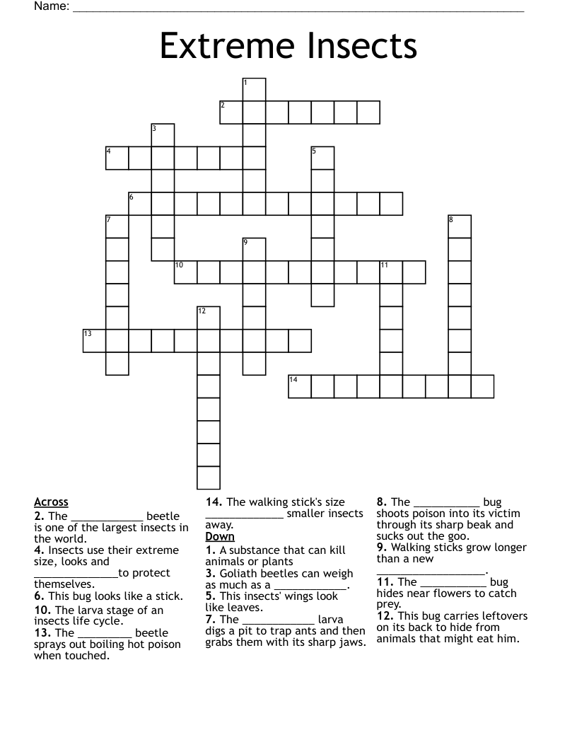 Extreme Insects Crossword