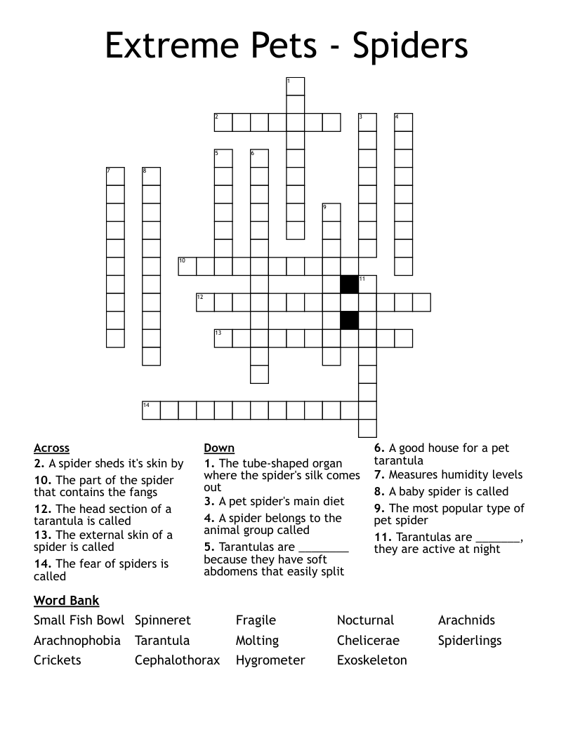 Extreme Pets - Spiders Crossword