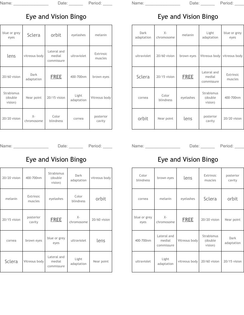 Eye and Vision Bingo