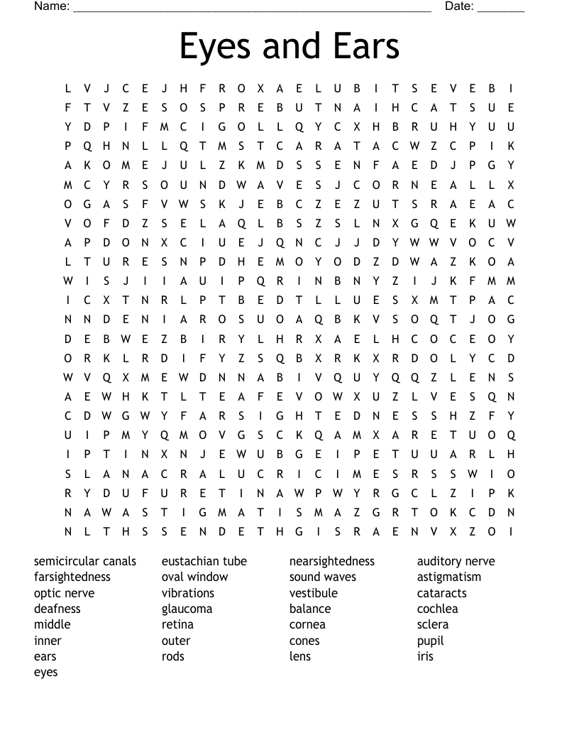 Eyes and Ears Word Search