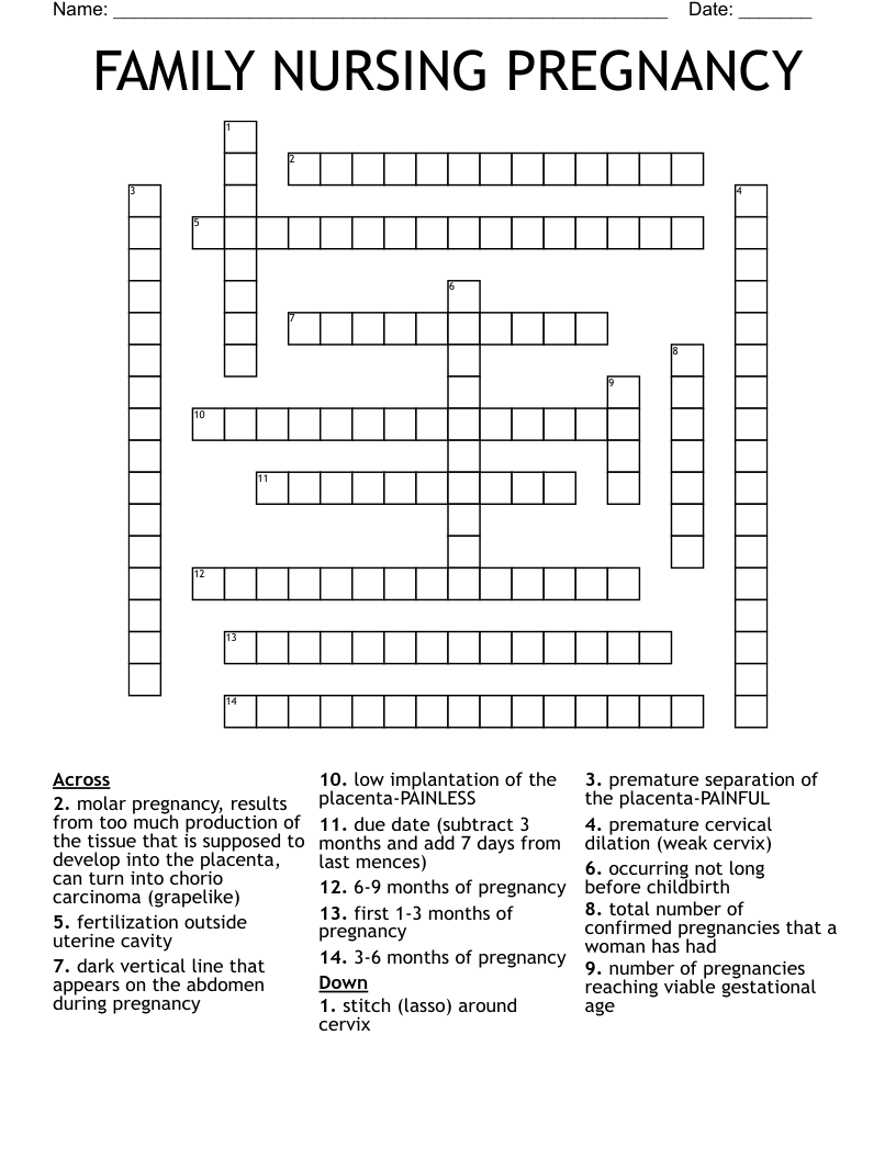 FAMILY NURSING PREGNANCY Crossword