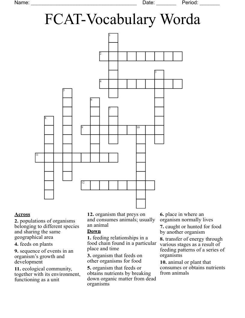 FCAT-Vocabulary Worda Crossword