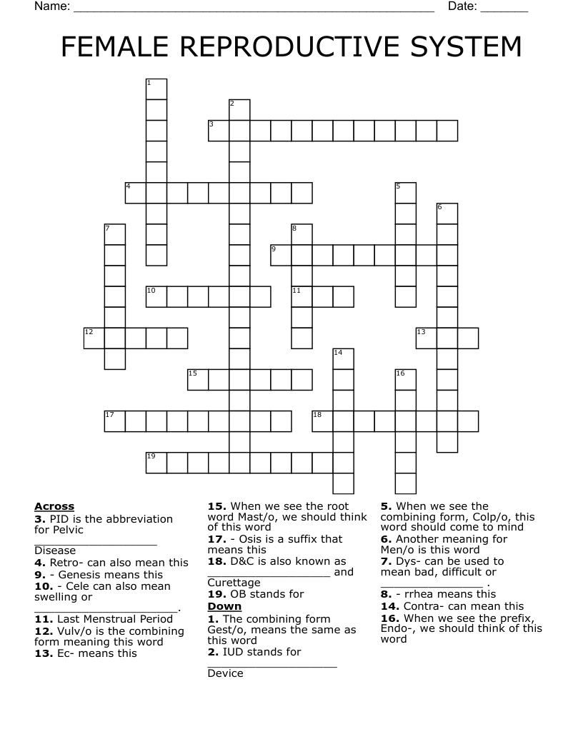 FEMALE REPRODUCTIVE SYSTEM Crossword