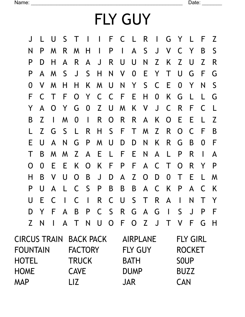 FLY GUY Word Search