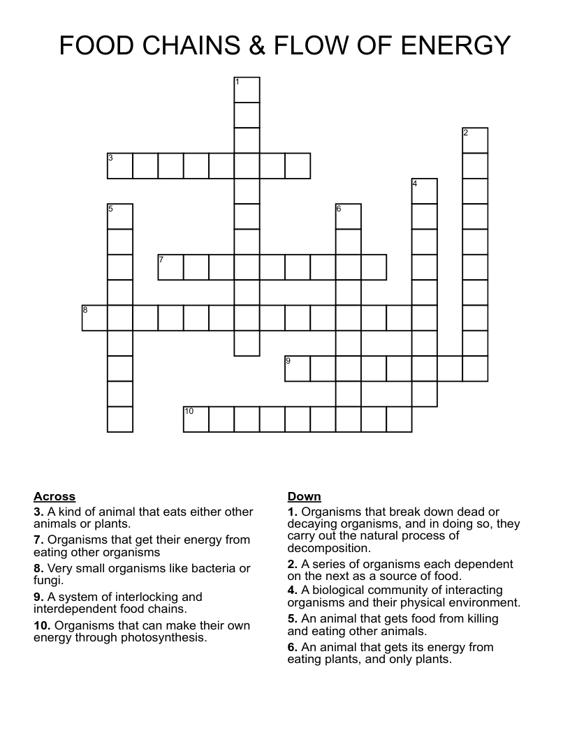 FOOD CHAINS & FLOW OF ENERGY Crossword