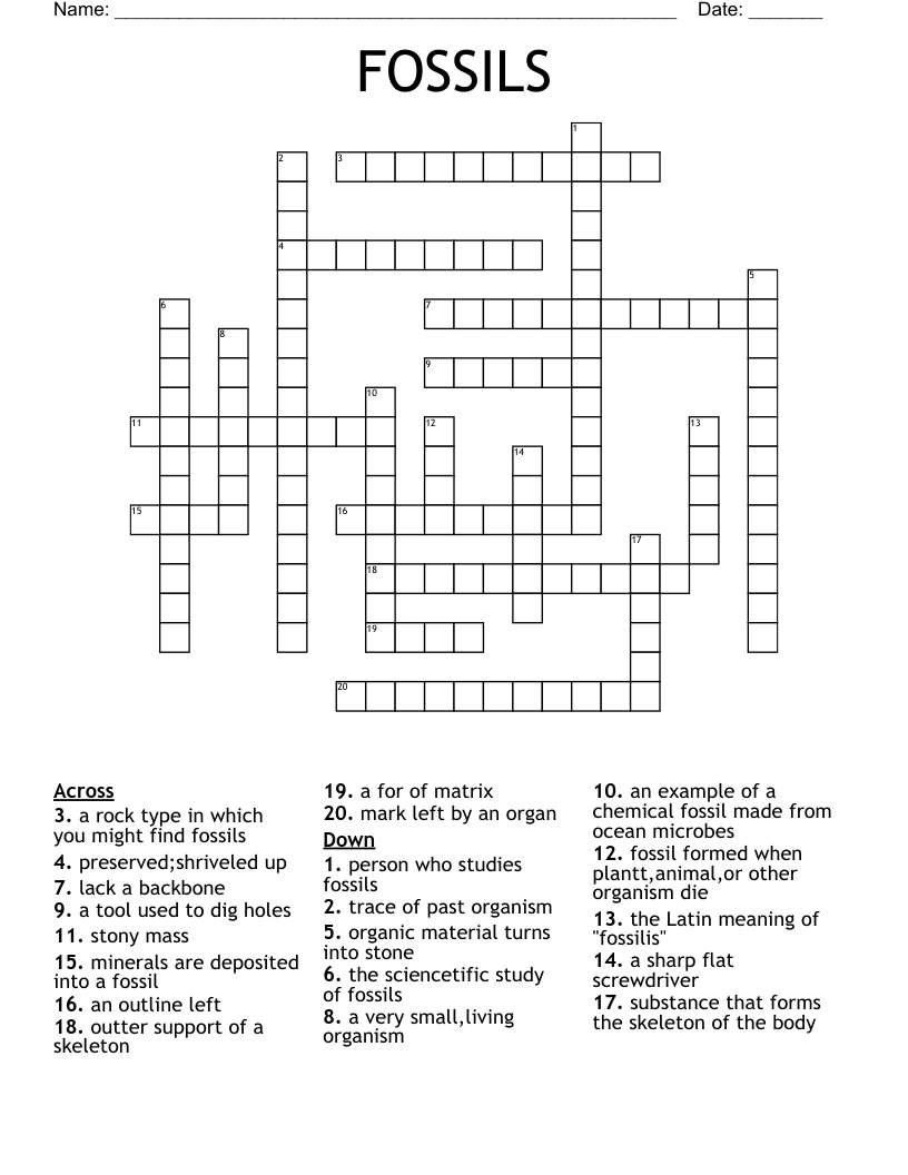 FOSSILS Crossword